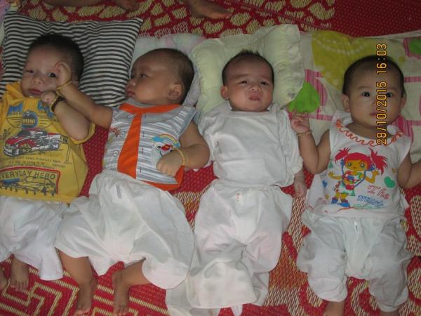 CÁC BÉ SƠ SINH - Hình mô tả 1