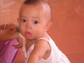 Huỳnh Hương Trúc - 2008 - Hình mô tả 1