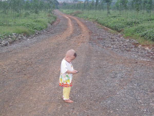 Huỳnh Hương Trúc - 2008 - Hình mô tả 10