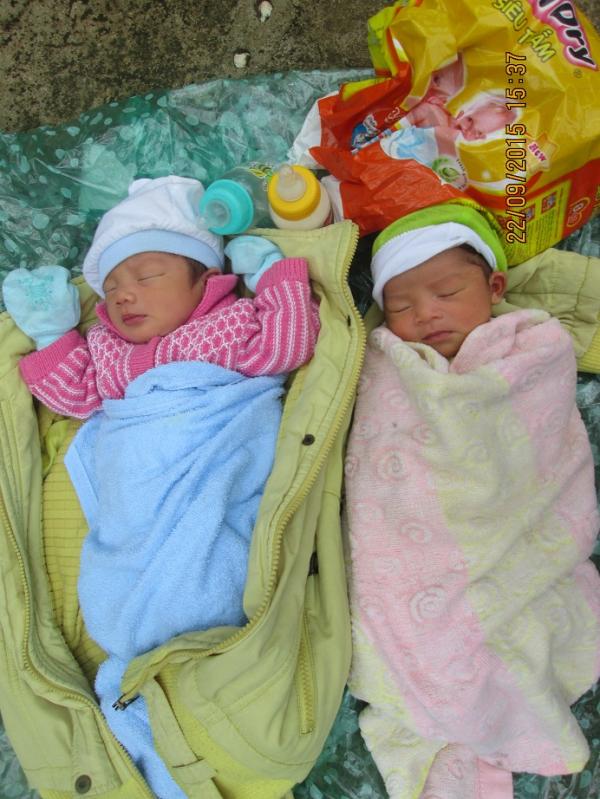 Nguồn gốc các con đến với Làng Tre - Hình mô tả 11