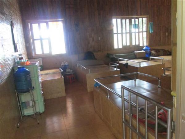 Hình ảnh Trung tâm Nhân Đạo Làng Tre năm 2015 - Hình mô tả 24