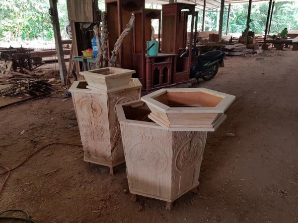 Lan Làng Tre - Hình mô tả 18