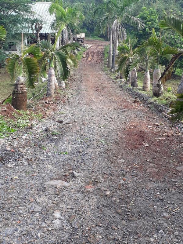 Đường đi nội bộ đã xuống cấp trầm trọng - Hình mô tả 2