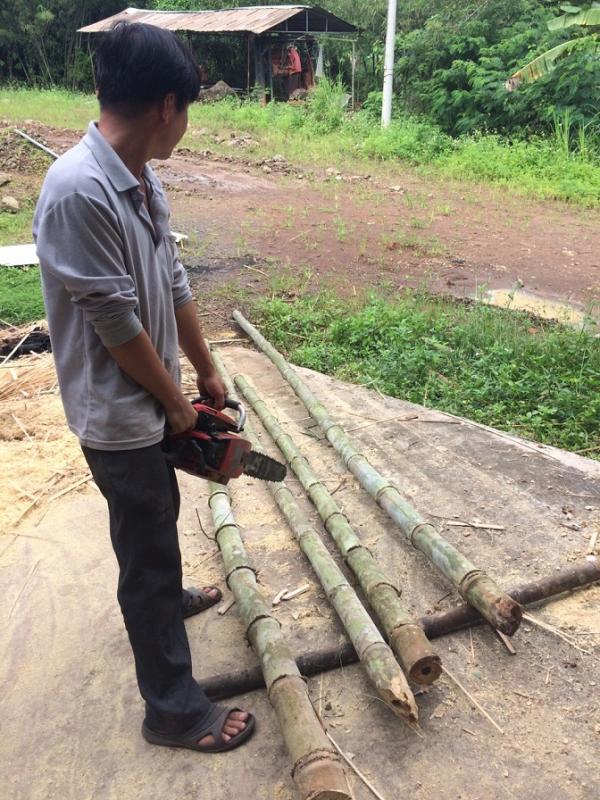 Đũa tre - Hình mô tả 2