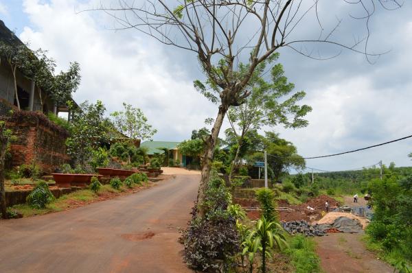 Xung quanh Làng Tre - Hình mô tả 3