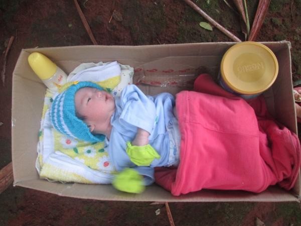 Nguồn gốc các con đến với Làng Tre - Hình mô tả 4