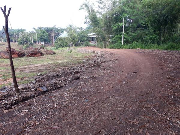 Đường đi nội bộ đã xuống cấp trầm trọng - Hình mô tả 6