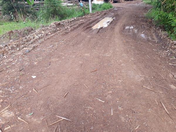Đường đi nội bộ đã xuống cấp trầm trọng - Hình mô tả 7