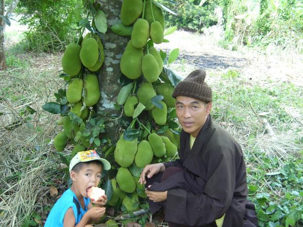 Thầy và các bé cô nhi - Hình mô tả 7