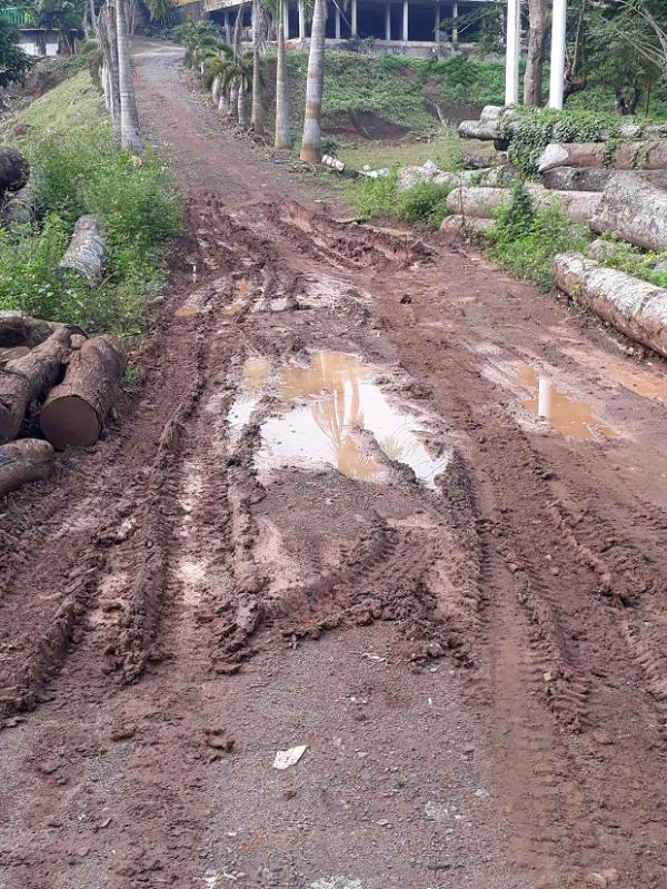 Đường đi nội bộ đã xuống cấp trầm trọng - Hình mô tả 8