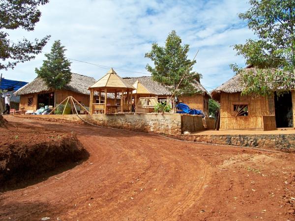 Làng Tre 2008 đến 2011